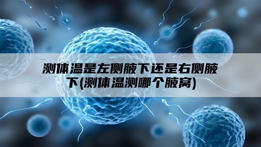 测体温是左侧腋下还是右侧腋下(测体温测哪个腋窝)