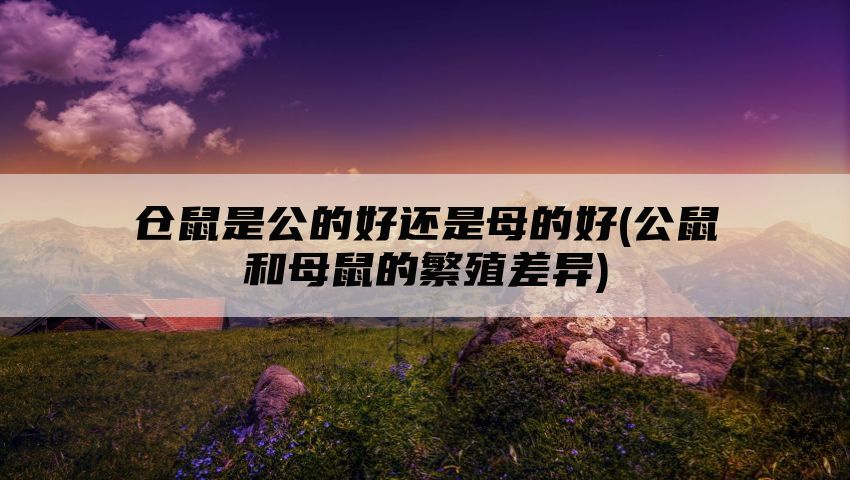 仓鼠是公的好还是母的好(公鼠和母鼠的繁殖差异)