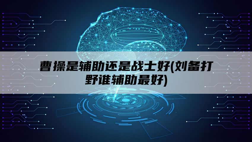 曹操是辅助还是战士好(刘备打野谁辅助最好)