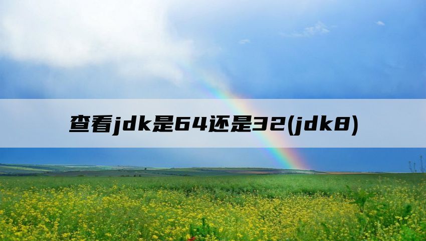 查看jdk是64还是32(jdk8)