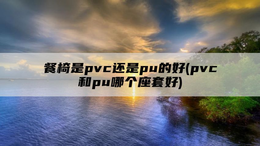 餐椅是pvc还是pu的好(pvc和pu哪个座套好)