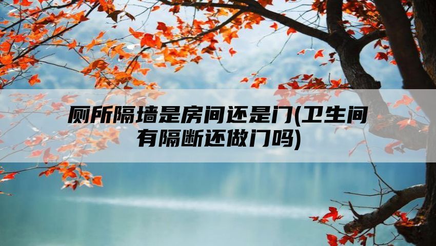 厕所隔墙是房间还是门(卫生间有隔断还做门吗)