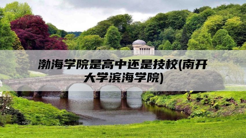 渤海学院是高中还是技校(南开大学滨海学院)