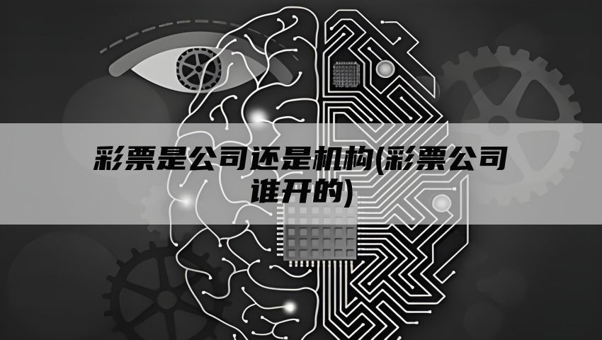 彩票是公司还是机构(彩票公司谁开的)