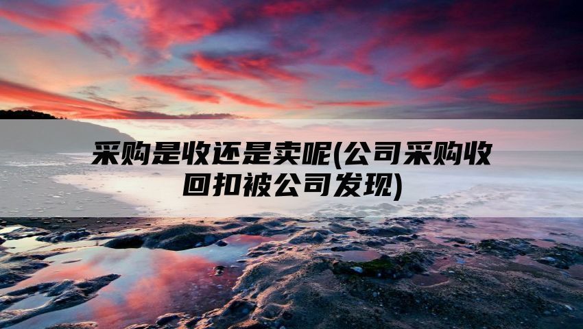 采购是收还是卖呢(公司采购收回扣被公司发现)