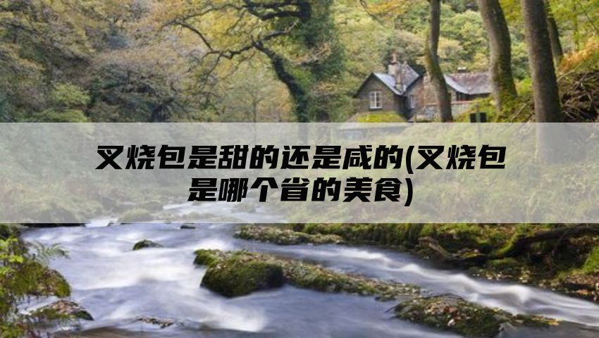 叉烧包是甜的还是咸的(叉烧包是哪个省的美食)