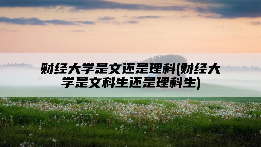 财经大学是文还是理科(财经大学是文科生还是理科生)