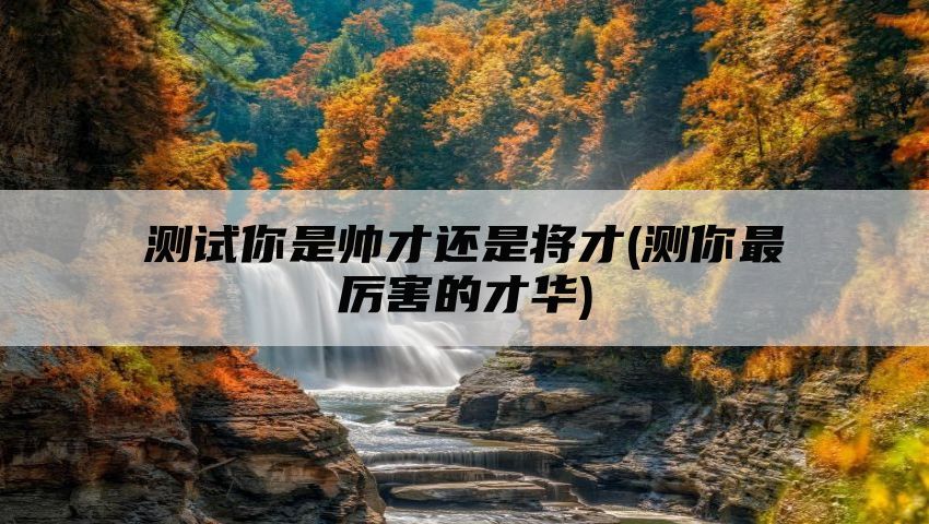 测试你是帅才还是将才(测你最厉害的才华)