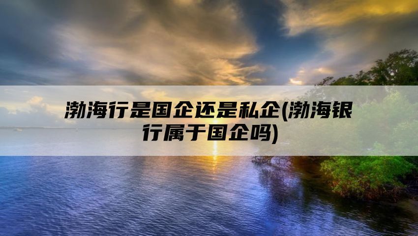 渤海行是国企还是私企(渤海银行属于国企吗)