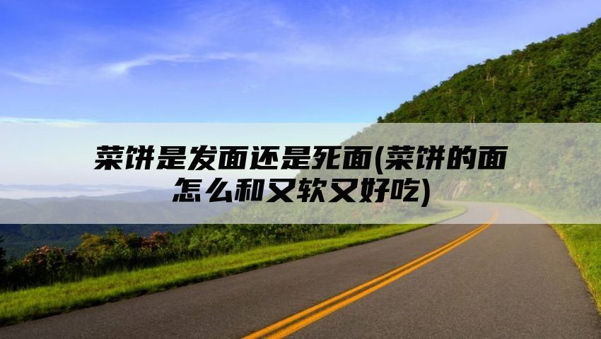 菜饼是发面还是死面(菜饼的面怎么和又软又好吃)