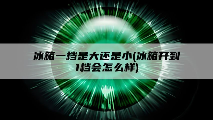 冰箱一档是大还是小(冰箱开到1档会怎么样)