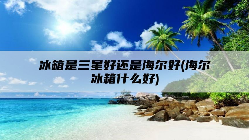 冰箱是三星好还是海尔好(海尔冰箱什么好)