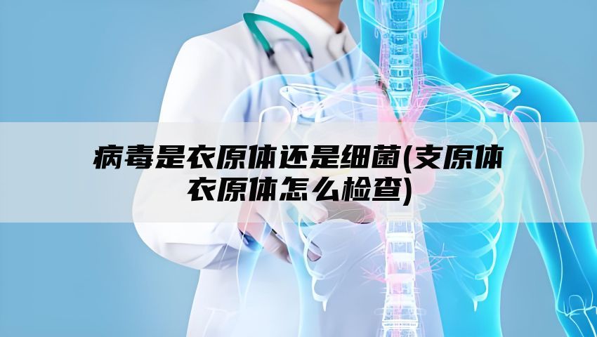 病毒是衣原体还是细菌(支原体衣原体怎么检查)