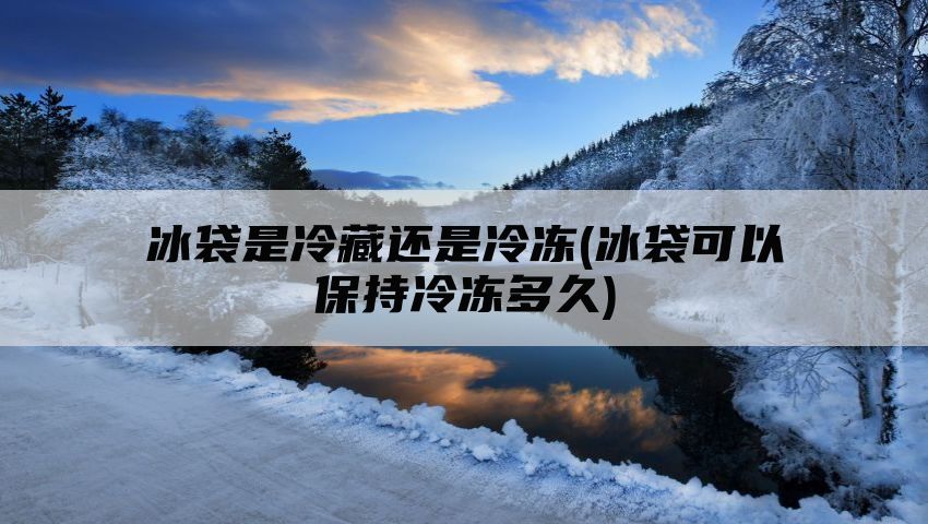 冰袋是冷藏还是冷冻(冰袋可以保持冷冻多久)