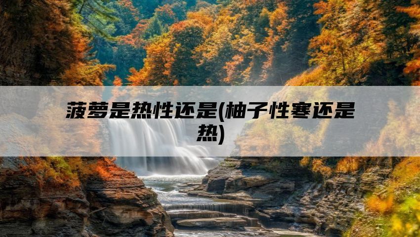 菠萝是热性还是(柚子性寒还是热)