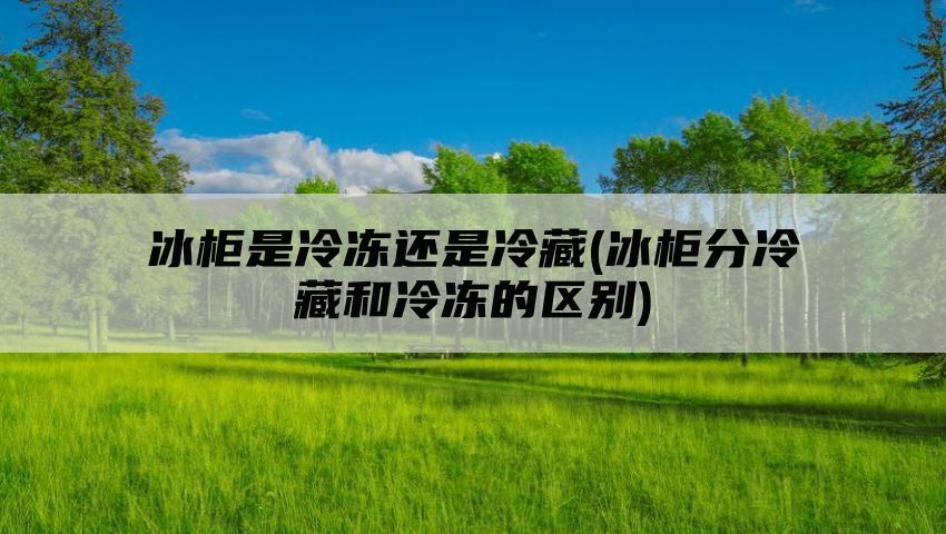 冰柜是冷冻还是冷藏(冰柜分冷藏和冷冻的区别)