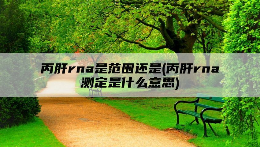 丙肝rna是范围还是(丙肝rna测定是什么意思)