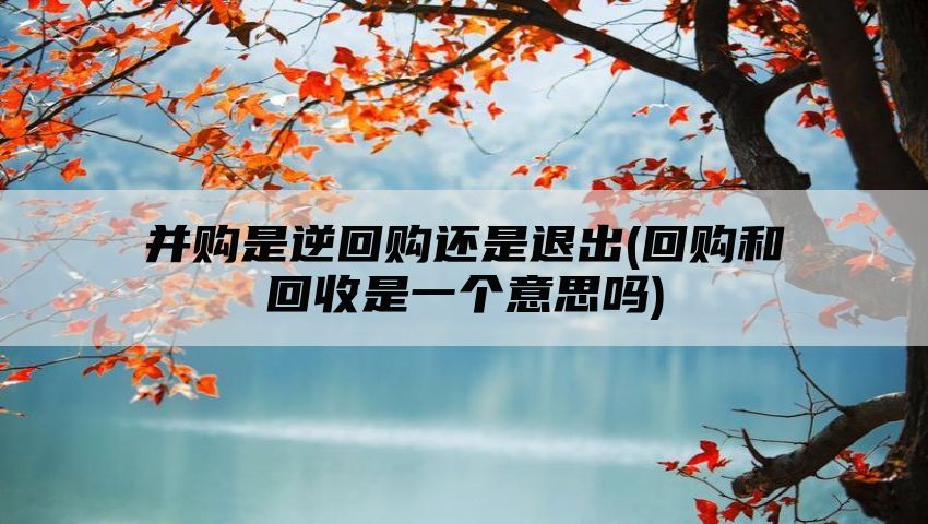 并购是逆回购还是退出(回购和回收是一个意思吗)