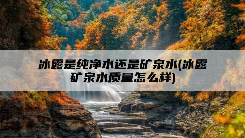 冰露是纯净水还是矿泉水(冰露矿泉水质量怎么样)