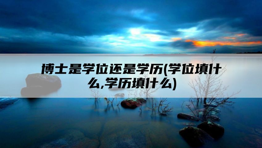 博士是学位还是学历(学位填什么,学历填什么)