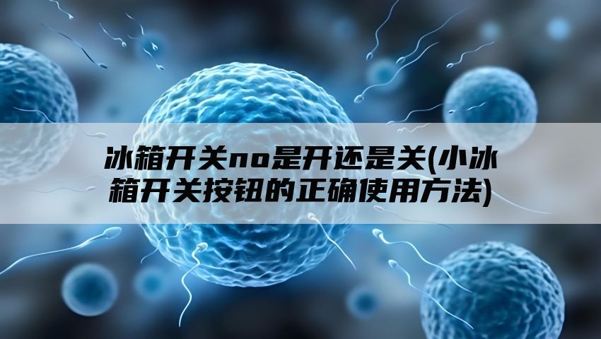 冰箱开关no是开还是关(小冰箱开关按钮的正确使用方法)