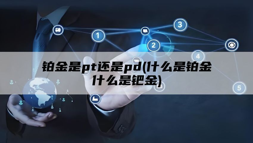 铂金是pt还是pd(什么是铂金什么是钯金)