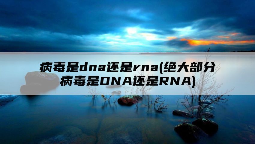 病毒是dna还是rna(绝大部分病毒是DNA还是RNA)