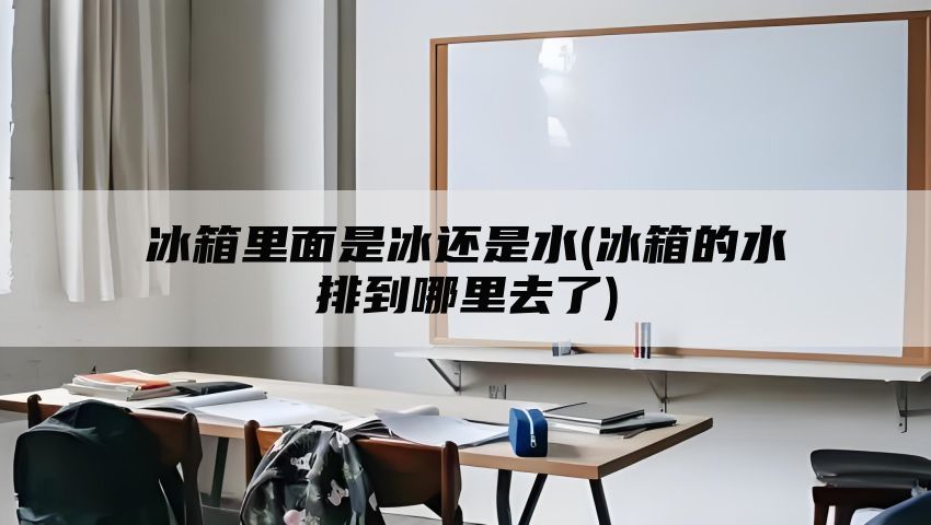 冰箱里面是冰还是水(冰箱的水排到哪里去了)