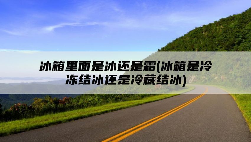 冰箱里面是冰还是霜(冰箱是冷冻结冰还是冷藏结冰)