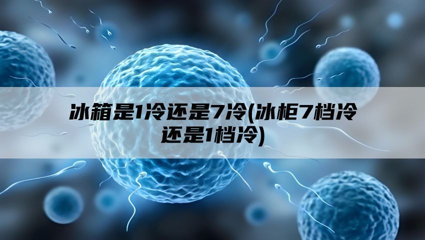 冰箱是1冷还是7冷(冰柜7档冷还是1档冷)