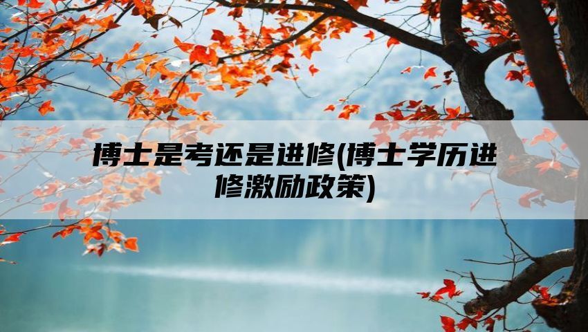 博士是考还是进修(博士学历进修激励政策)