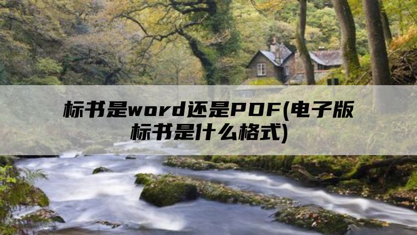 标书是word还是PDF(电子版标书是什么格式)