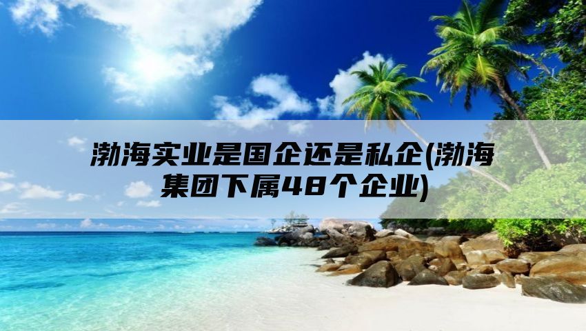 渤海实业是国企还是私企(渤海集团下属48个企业)