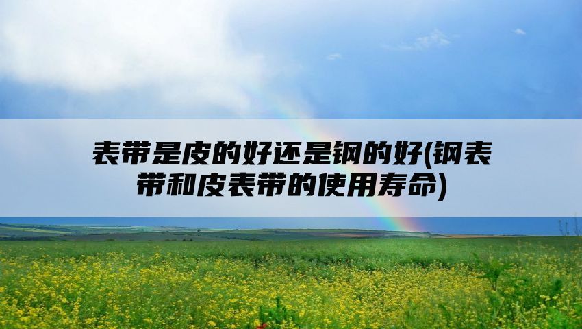 表带是皮的好还是钢的好(钢表带和皮表带的使用寿命)