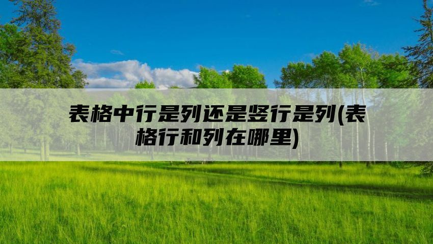 表格中行是列还是竖行是列(表格行和列在哪里)