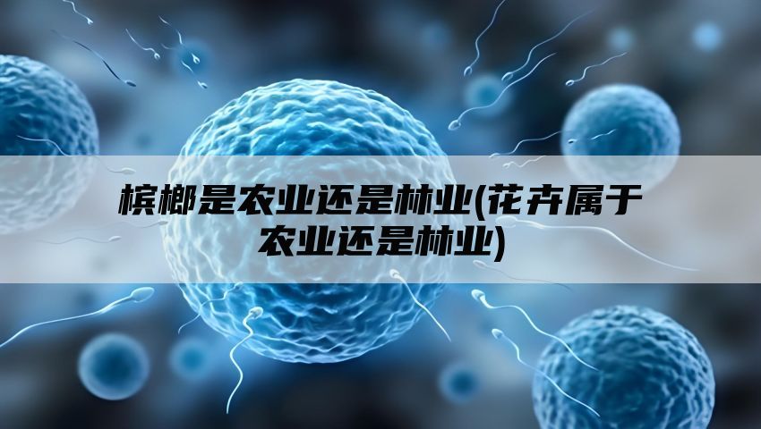 槟榔是农业还是林业(花卉属于农业还是林业)