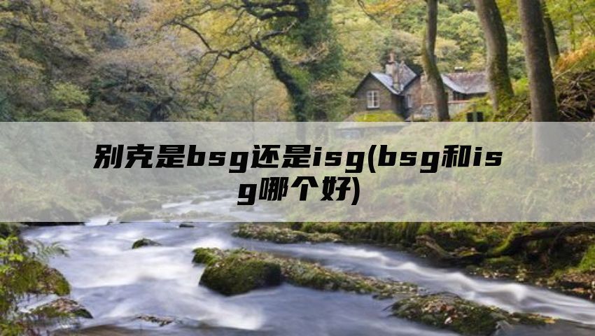 别克是bsg还是isg(bsg和isg哪个好)